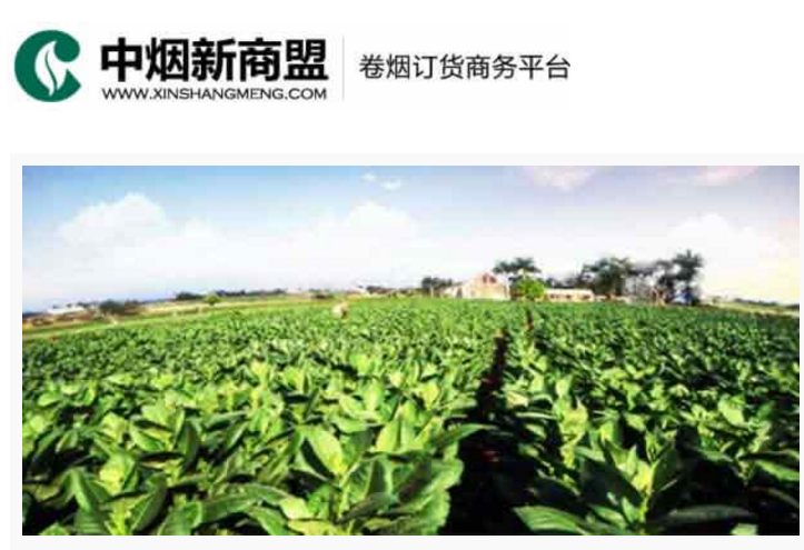 中烟新商盟卷烟订货商务平台-祥顺彩票